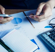 Driving sustainable growth and enabling businesses to achieve long-term financial resilience.