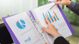 MIS Report Preparation & Customization