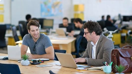 Professional Work Ambience