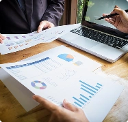 Proven Expertise in MIS Reporting