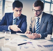 Seasoned Audit Professionals