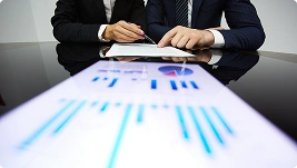 Statutory External Audits