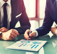 Strategic Consulting & Advisory Support