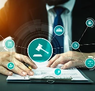 Strong government coordination that enables faster approvals and smoother processes.