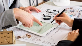 Asset Misappropriation Review