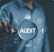 Tailored Audit Programs