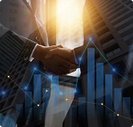 Tailored to Your Business